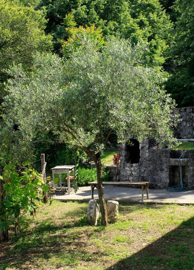 Rent House Orahovo Βίλα Virpazar Εξωτερικό φωτογραφία