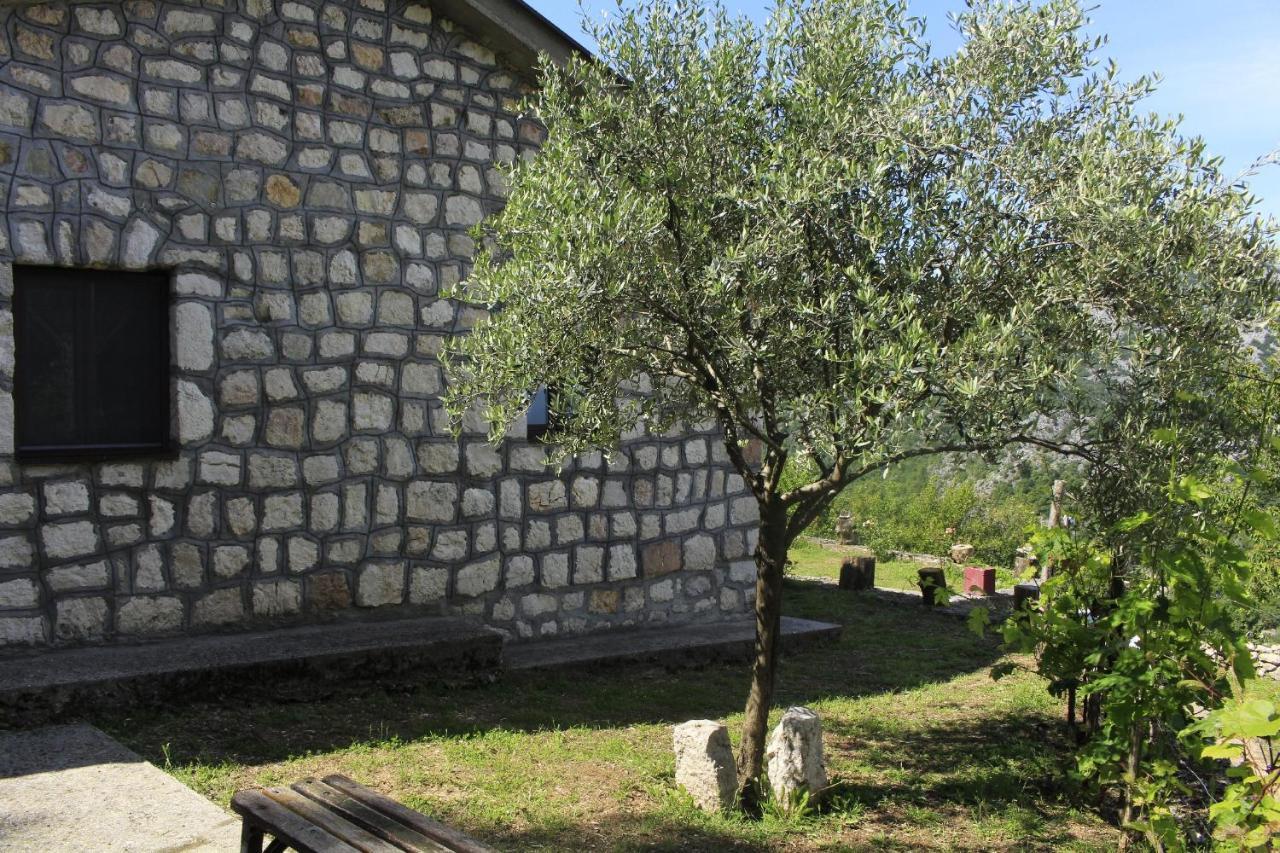 Rent House Orahovo Βίλα Virpazar Εξωτερικό φωτογραφία