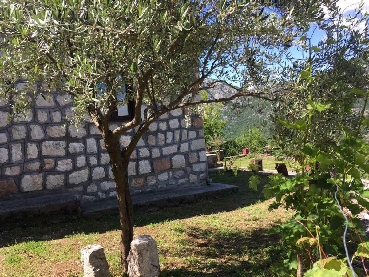 Rent House Orahovo Βίλα Virpazar Εξωτερικό φωτογραφία